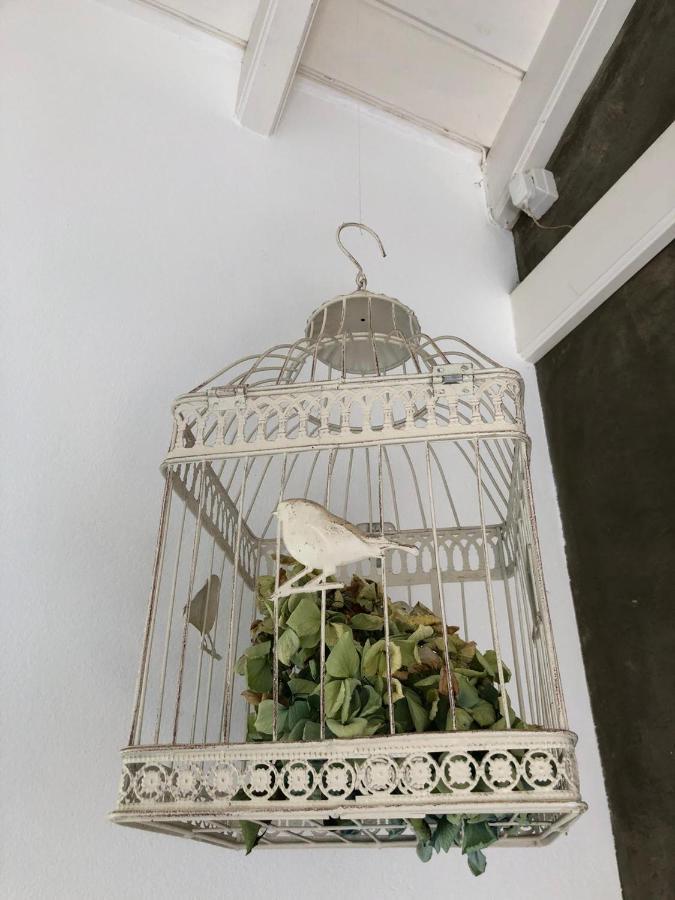 Willa Casa Da Arquinha Santo Amaro  Zewnętrze zdjęcie